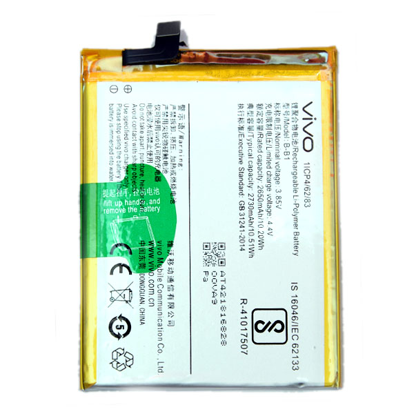 vivo y 55 battery model name